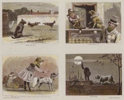 Illustrationen aus dem Katalog des Royal Institute of Painters in Water-Colours von John Charles Dollman